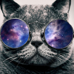 Amy's avatar